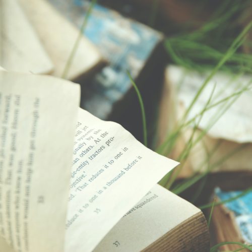 5 Ways the Publishing Industry Can Have a Better Impact on the Environment