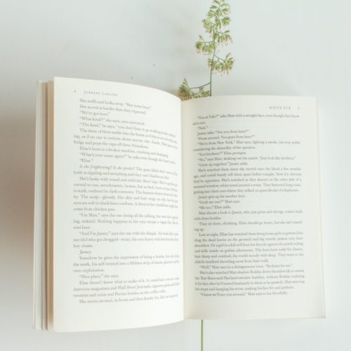 New Nonfiction Releases – November 2022